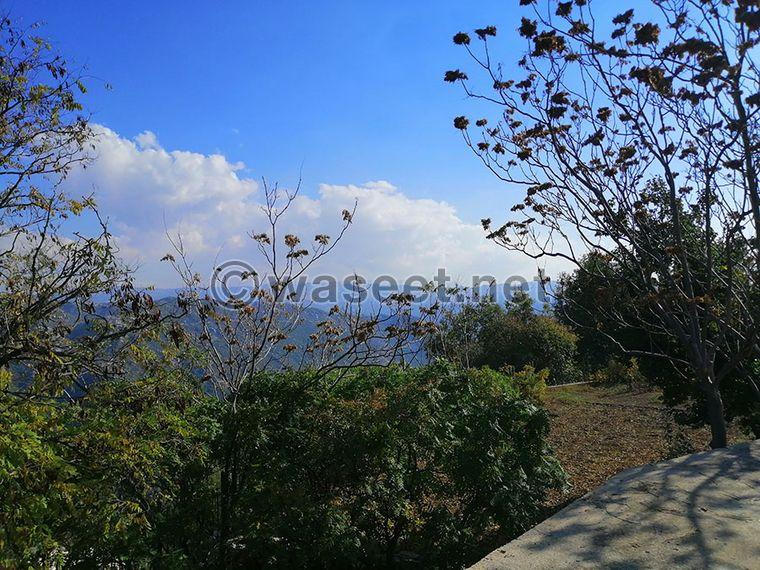 Old House for Sale Ehmej  Aaouayni  Jbeil Housing Area 860Sqm  2