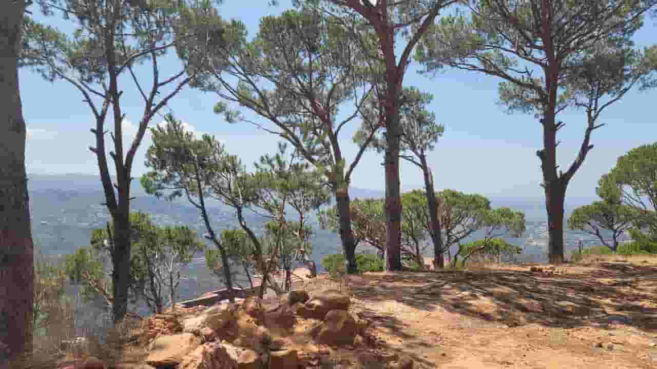 755 m land for sale in Ain Najm at an attractive price