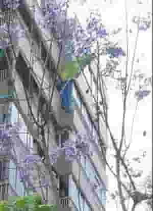 شقة مناسبة أو سكن أو مكتب