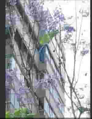 Well situated Apt for sale