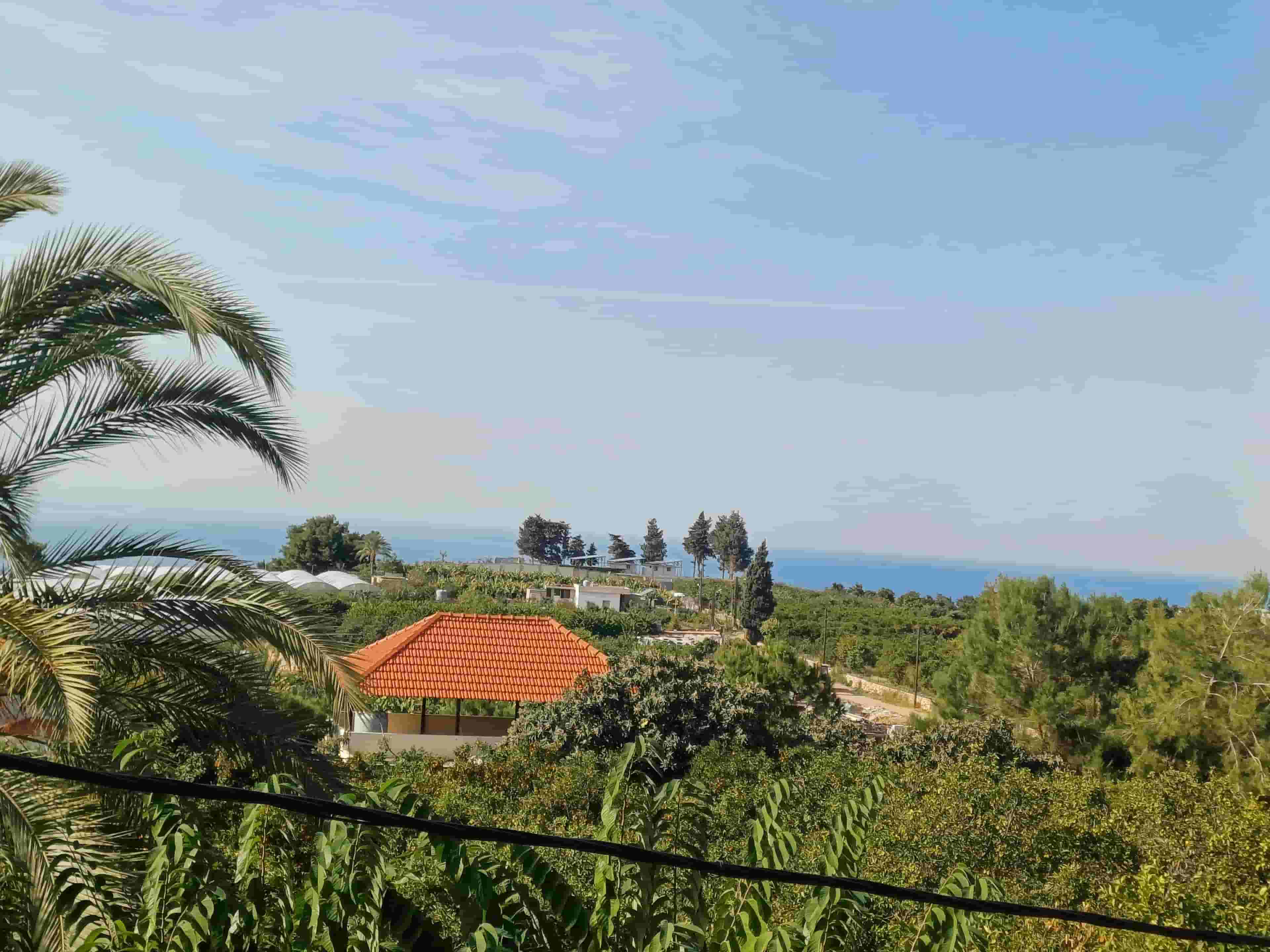 Land for sale Saida Alman