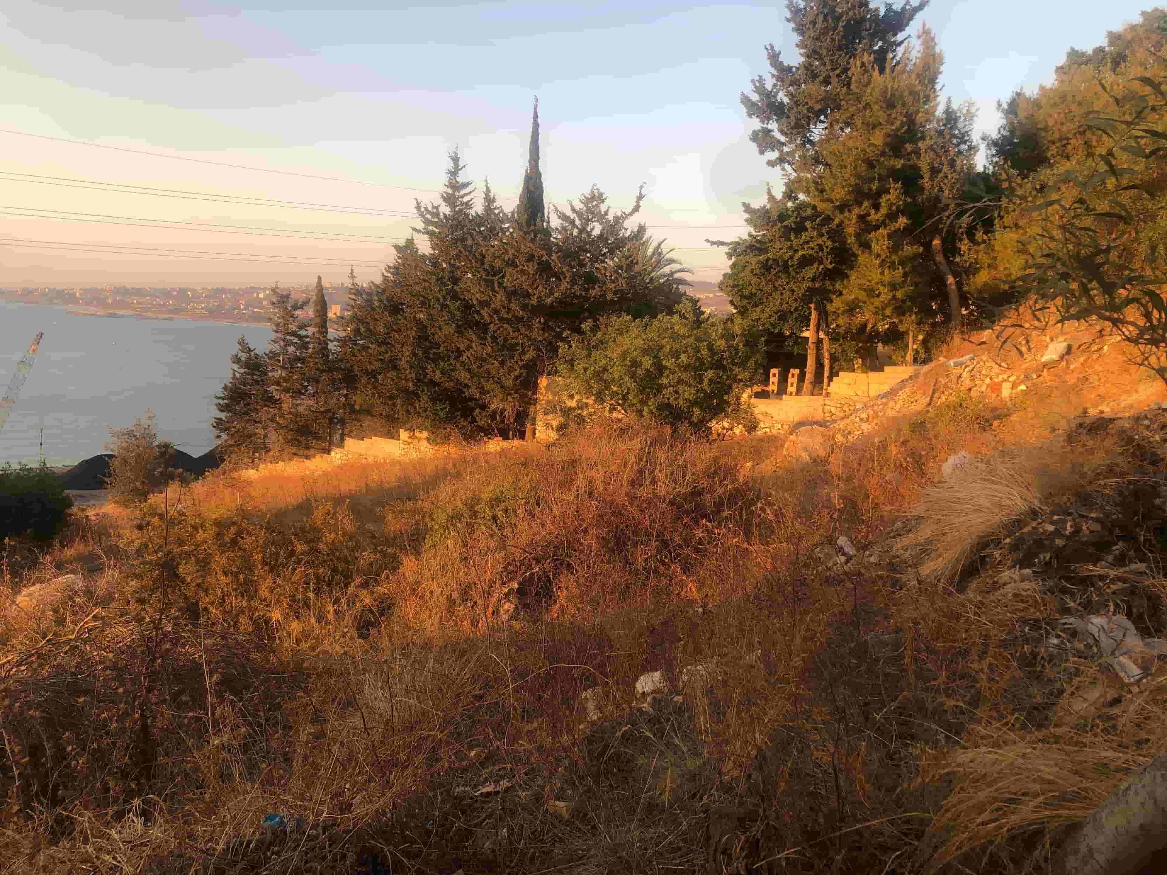 عقار للاستثمار في الجية زاروت