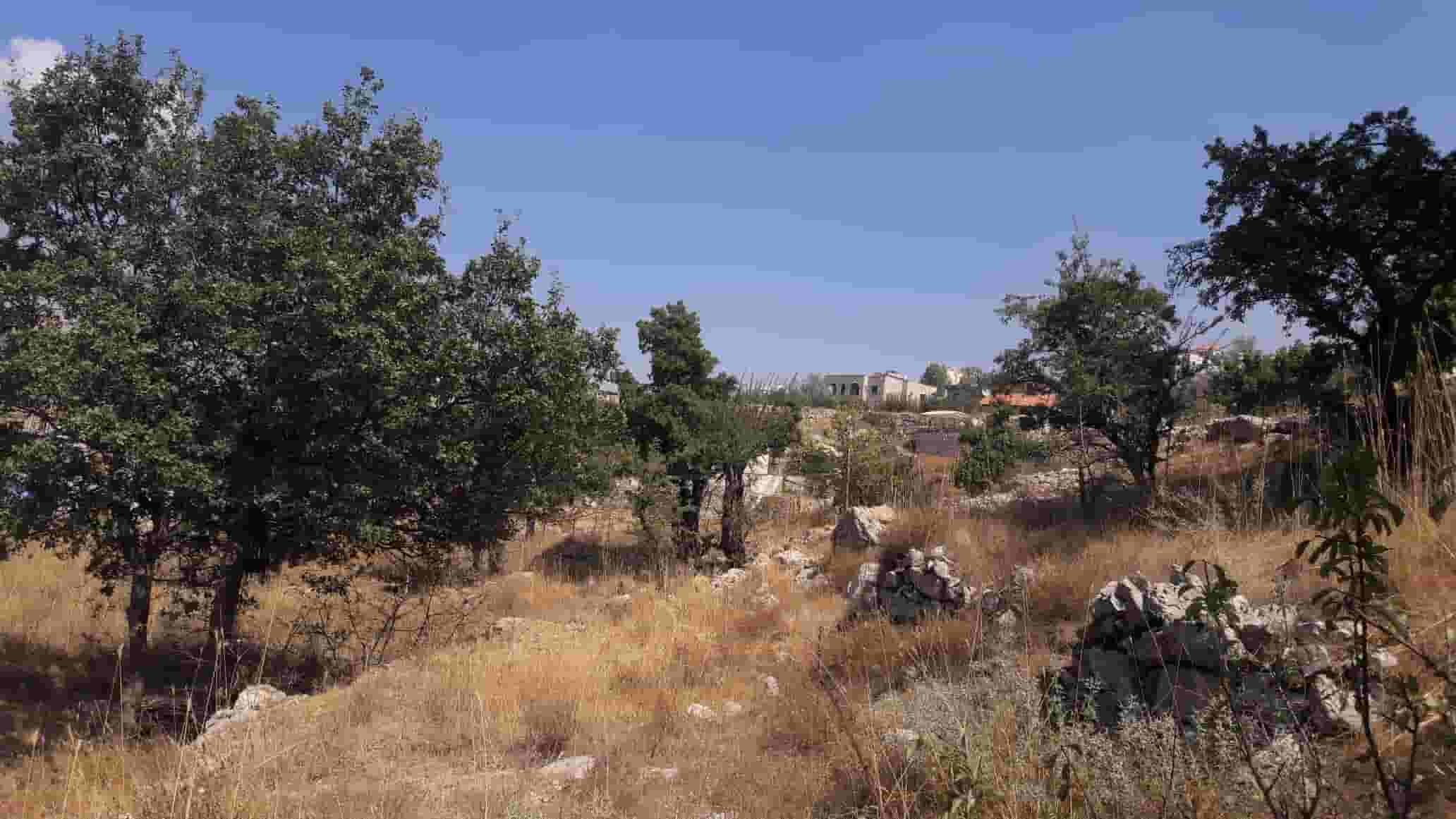 Tarchich land for sale