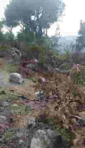 Land for sale in Zandouga