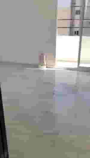 Apartment for sale in Karakol Druze
