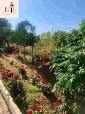 You own a plot of land in Yarzeh