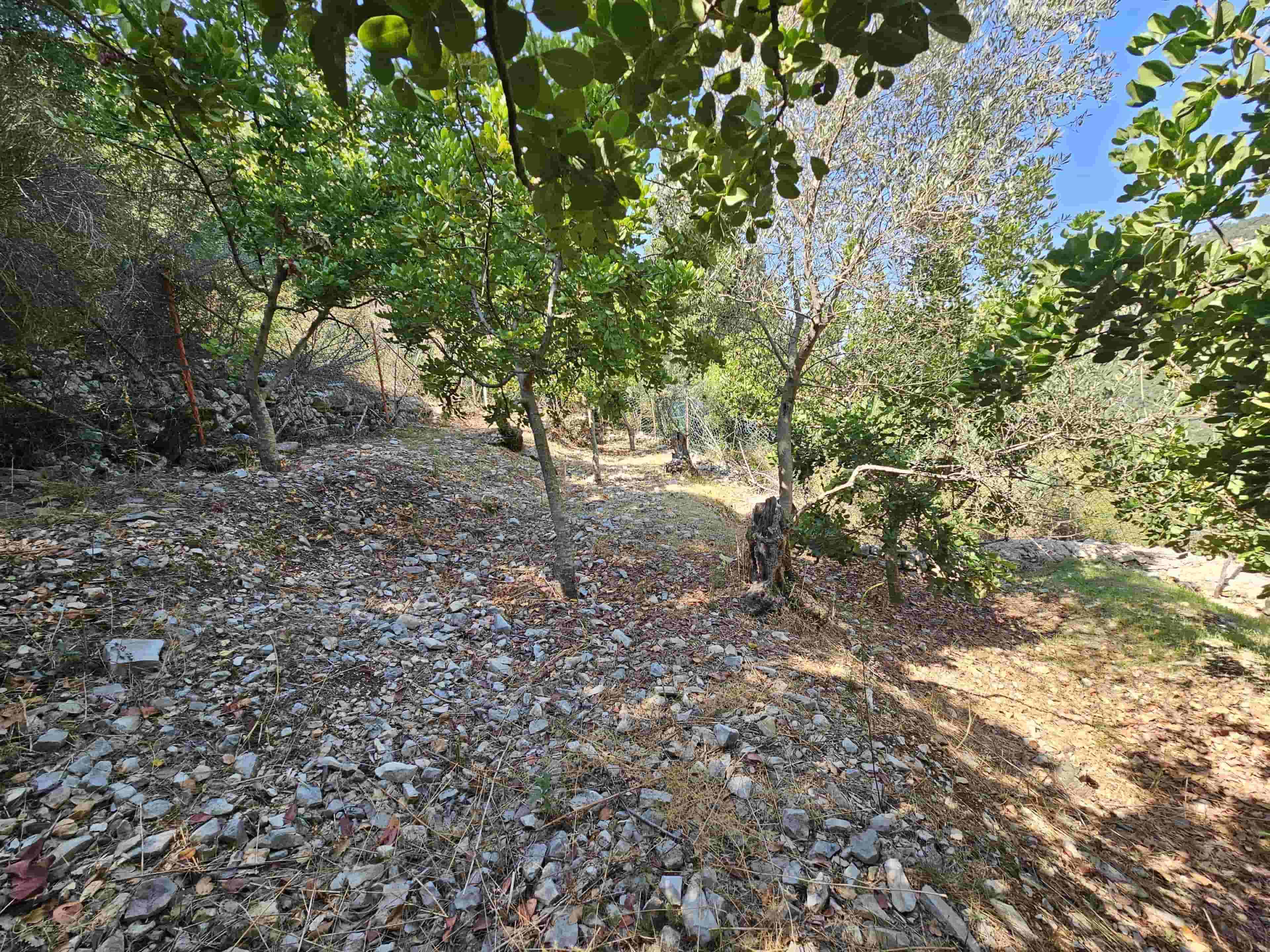 Land for sale in hakel