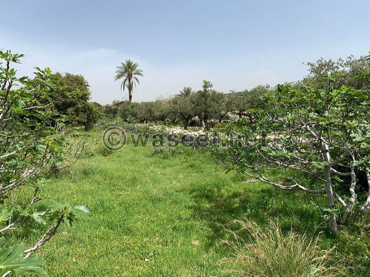 Land for sale Monsef Jbeil Area 2120Sqm  0