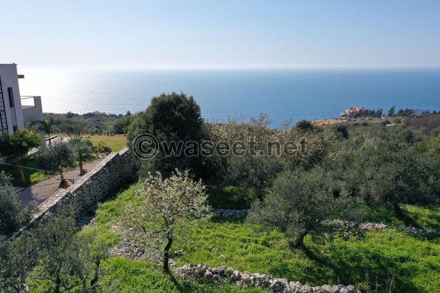 Land for sale Monsef Jbeil Area 2120Sqm  1