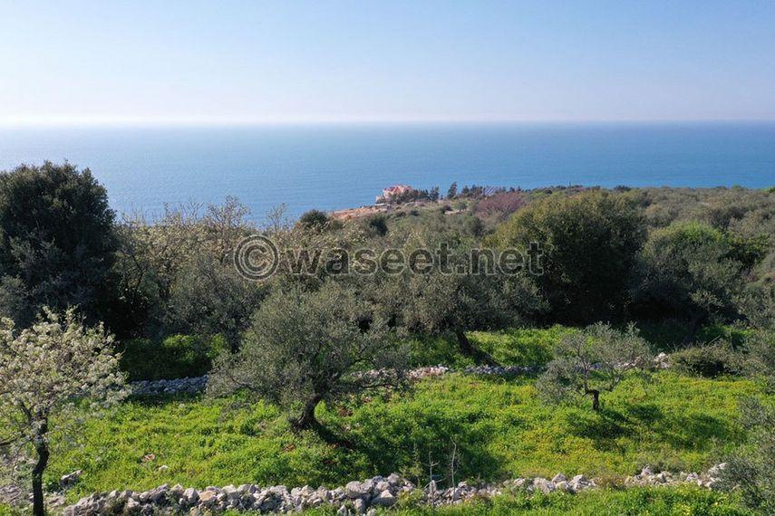 Land for sale Monsef Jbeil Area 2120Sqm  2