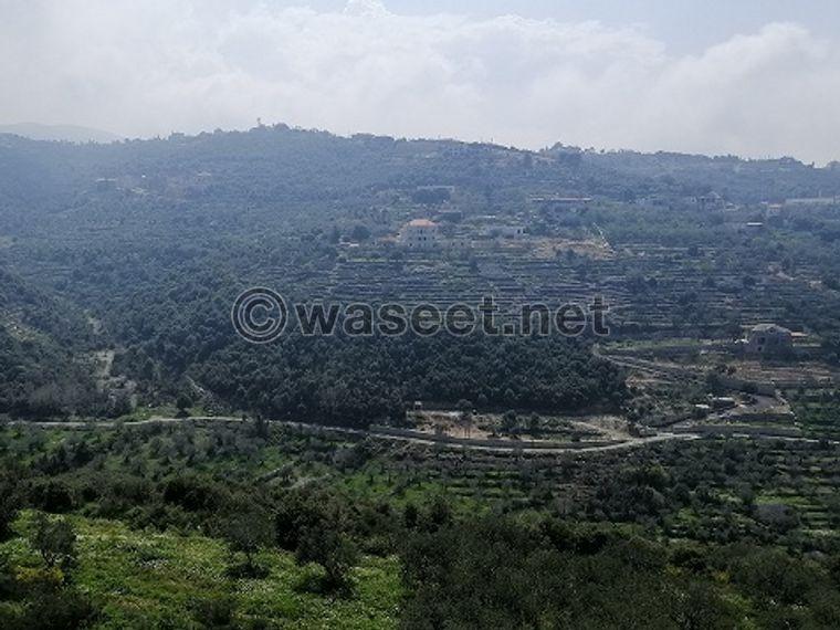 Land for Sale Bejjeh Jbeil Area 1741Sqm 0