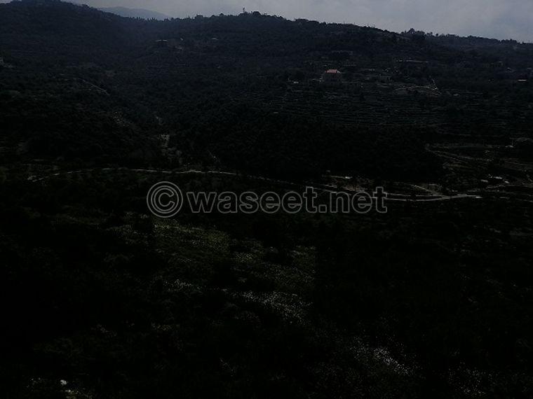 Land for Sale Bejjeh Jbeil Area 1741Sqm 2