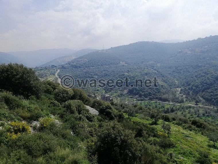 Land for Sale Bejjeh Jbeil Area 1741Sqm 3