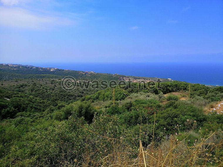 Land for Sale Berbara Jbeil Area 1