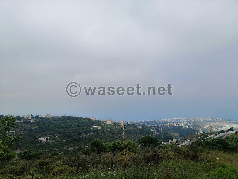 Land for Sale Bentael Jbeil Area 16150Sqm  1