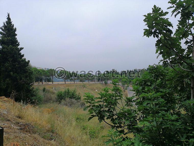 Land for Sale Bentael Jbeil Area 6267Sqm 3