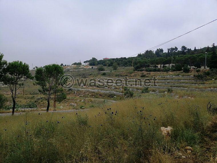 Land for Sale Bentael Jbeil Area 6267Sqm 1