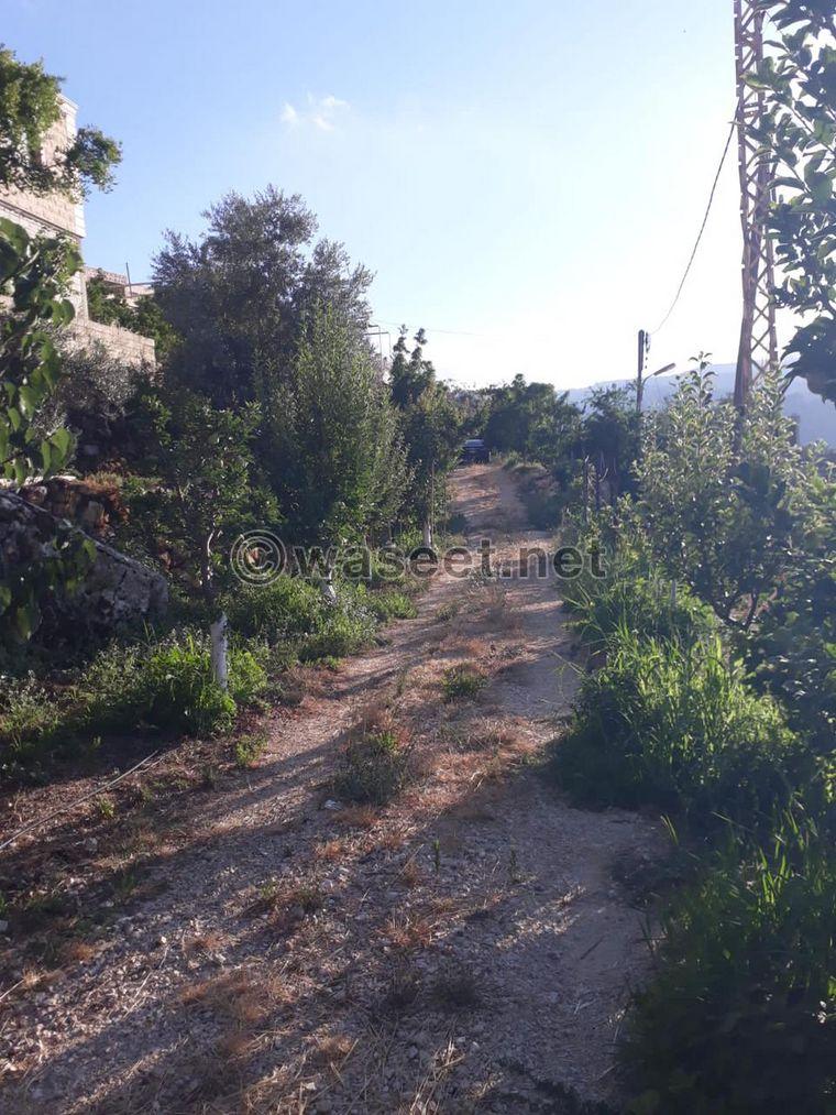 Land for sale with an area of 1160 square meters 1