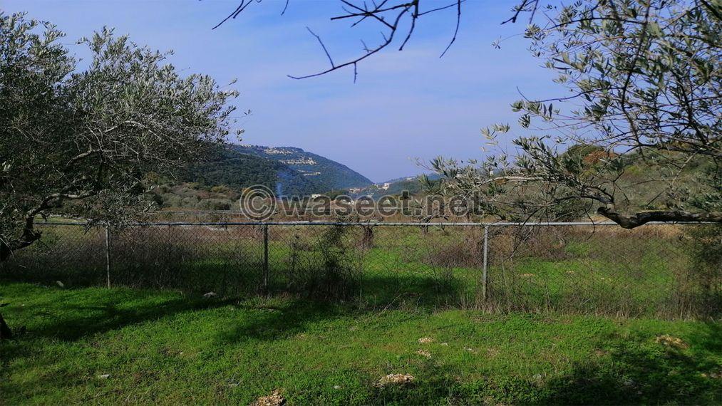 Land for Sale Ain Kfaa Jbeil Area 6400Sqm  2