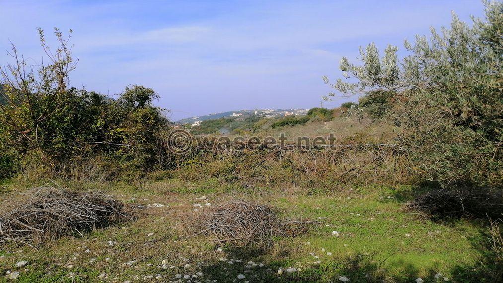 Land for Sale Ain Kfaa Jbeil Area 6400Sqm  1