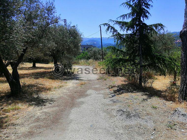 Land for Sale Lehfed Jbeil Area 1072Sqm  2