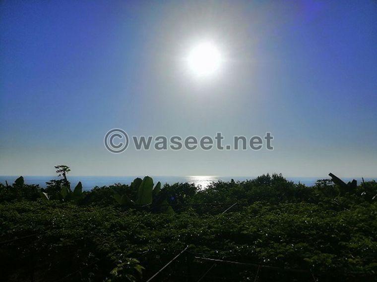 Land for Sale Fidar Jbeil Area 3000Sq 0