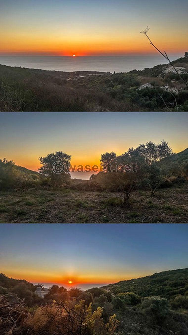 Land for sale Maad Jbeil Area 5425Sqm  2