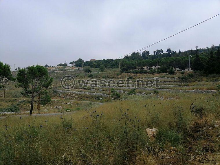 Land for Sale Bentael Jbeil Area 6267Sqm 0