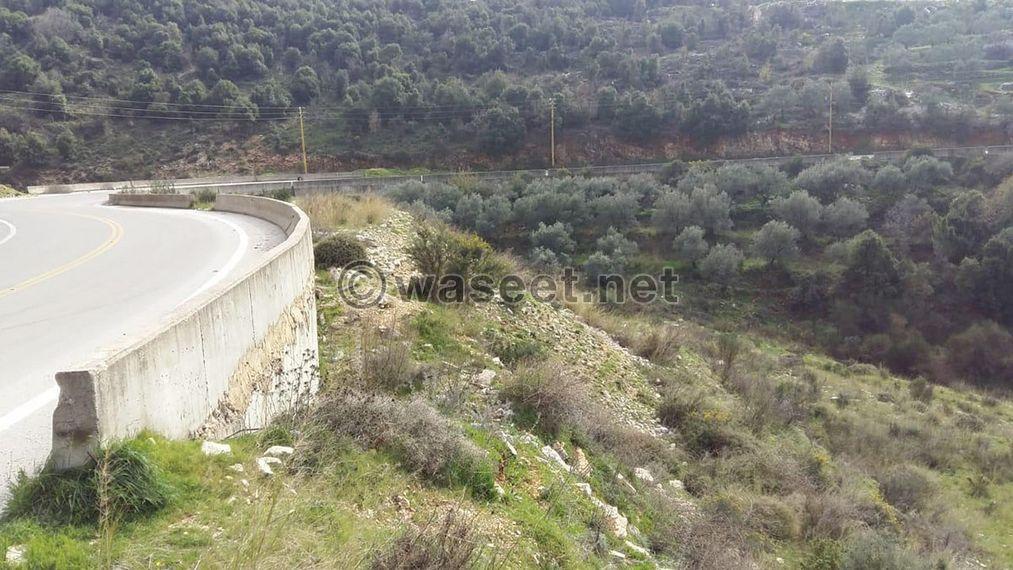 Land for Sale Hakel Jbeil Area 3730Sqm 1