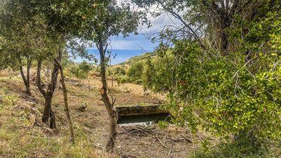 Land for sale Maad Jbeil Area 5425Sqm 