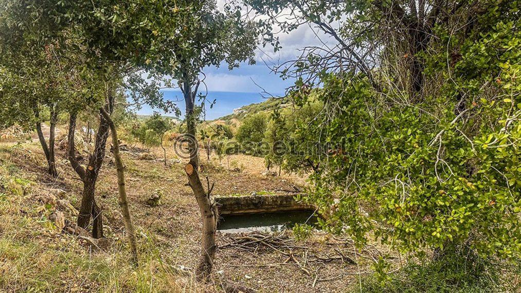 Land for sale Maad Jbeil Area 5425Sqm  0