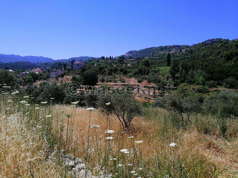 Land for Sale Lehfed Jbeil Area 1072Sqm  3