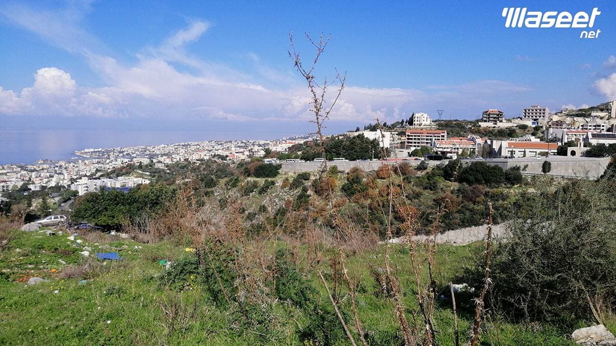 أرض للبيع مساحتها ١٧١٧ مترًا 0