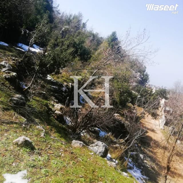 للبيع أرض في شحتول 2560م 