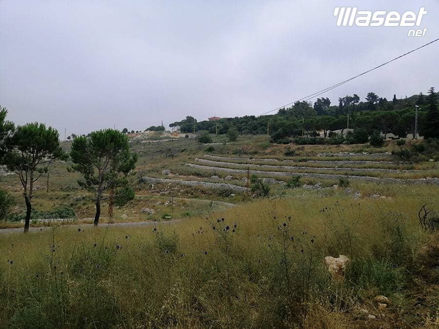 Land for Sale Bentael Jbeil Area 6267Sqm 1