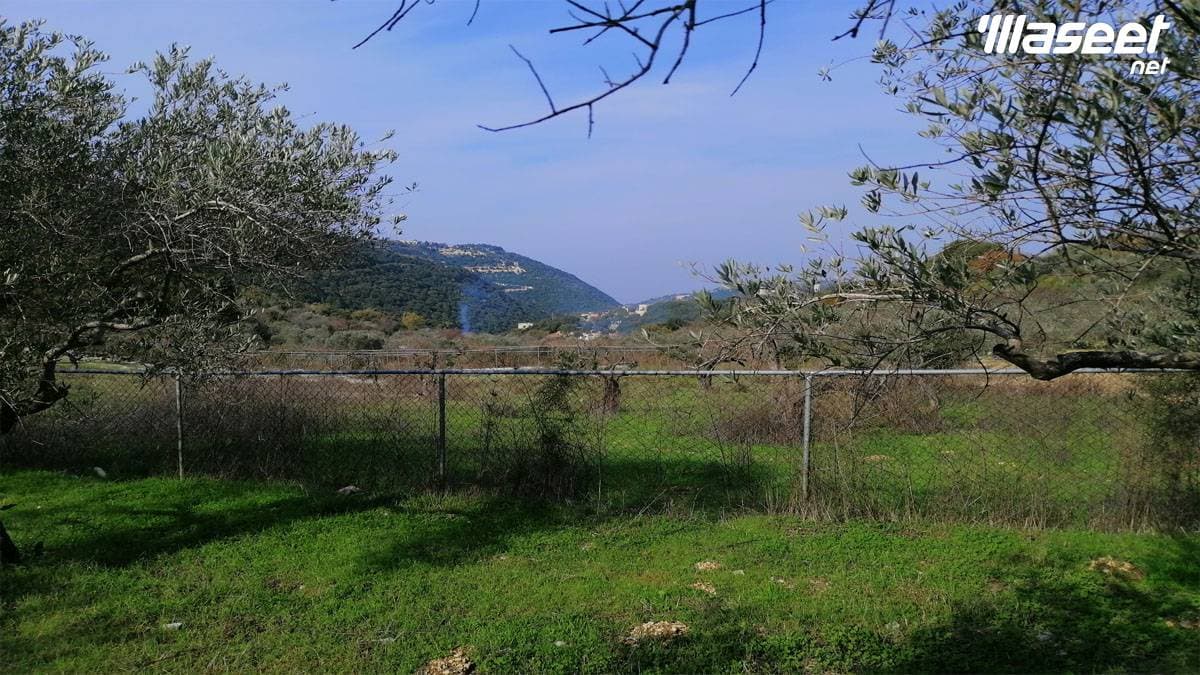 Land for Sale Ain Kfaa Jbeil Area 6400Sqm 2