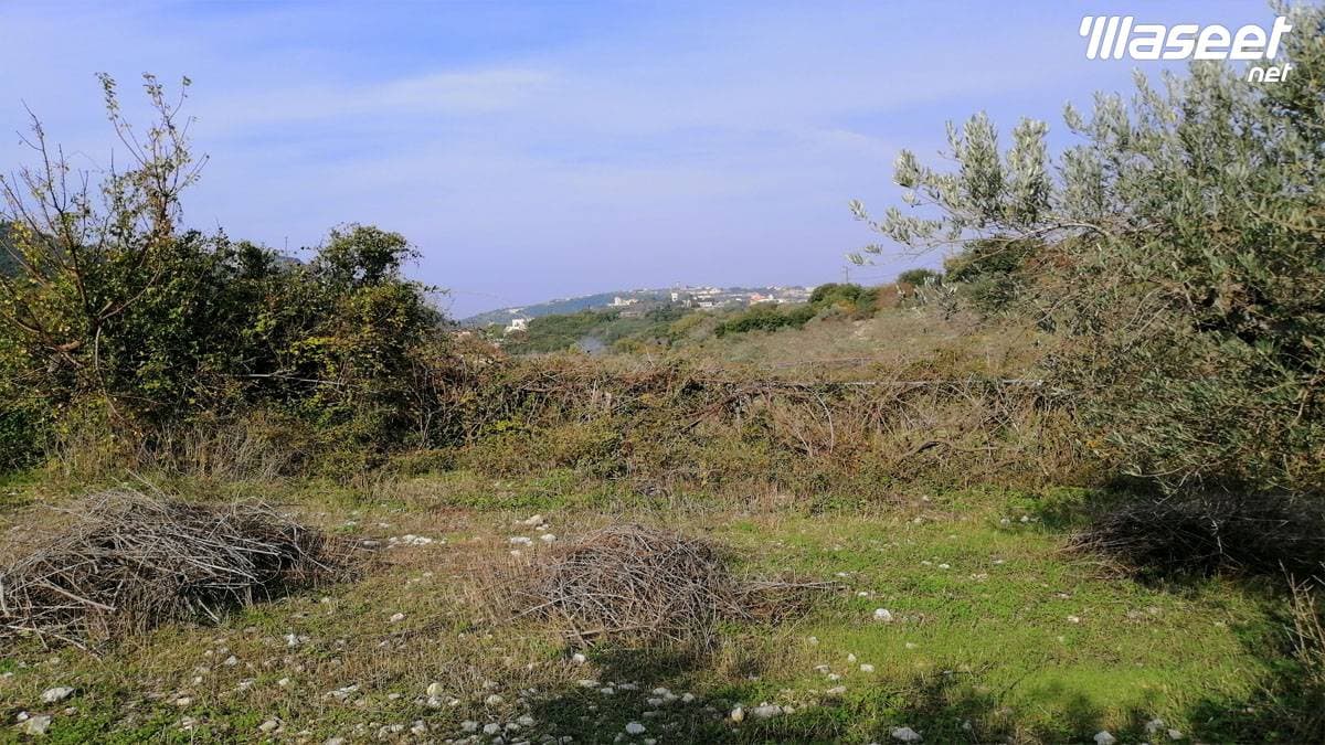 Land for Sale Ain Kfaa Jbeil Area 6400Sqm 1