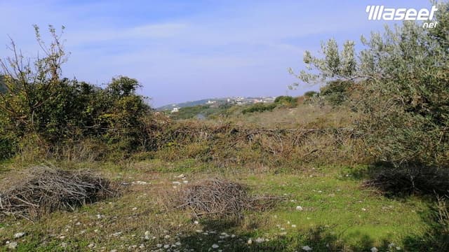 Land for Sale Ain Kfaa Jbeil Area 6400Sqm