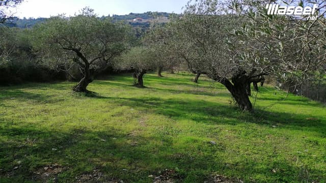 Land for Sale Ain Kfaa Jbeil Area 6400Sqm