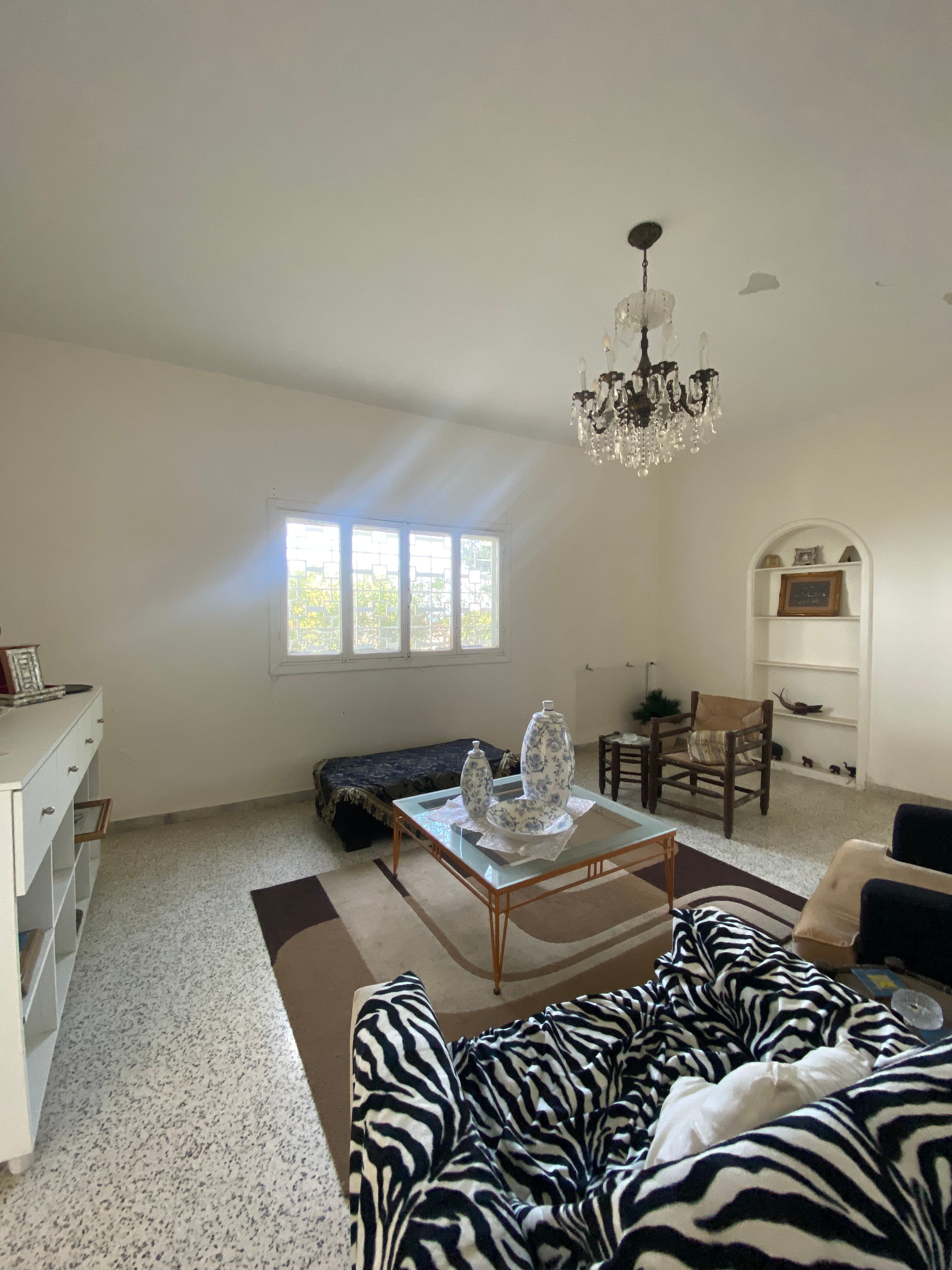  We are looking for an investor to invest in a villa 2