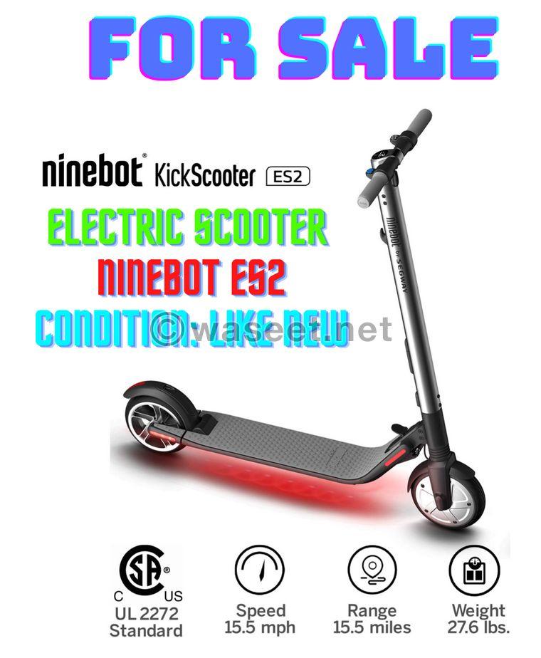 Electric scooter for sale 1