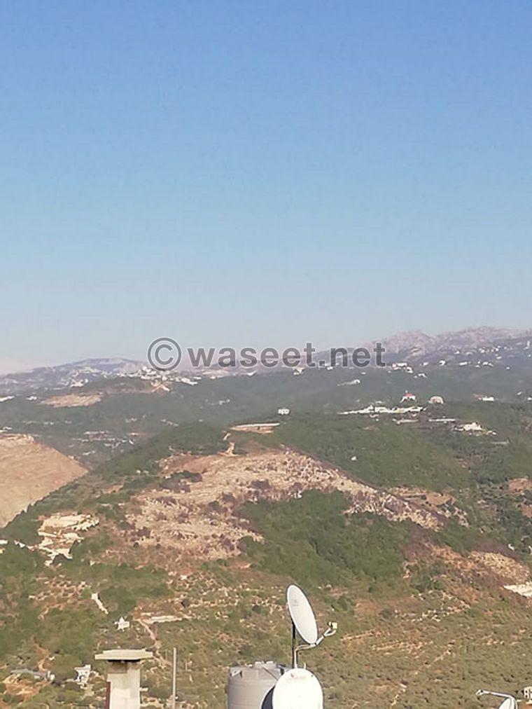 Land for Sale Bejjeh Jbeil  Mount Lebanon Governorate  Area 7500Sqm  1