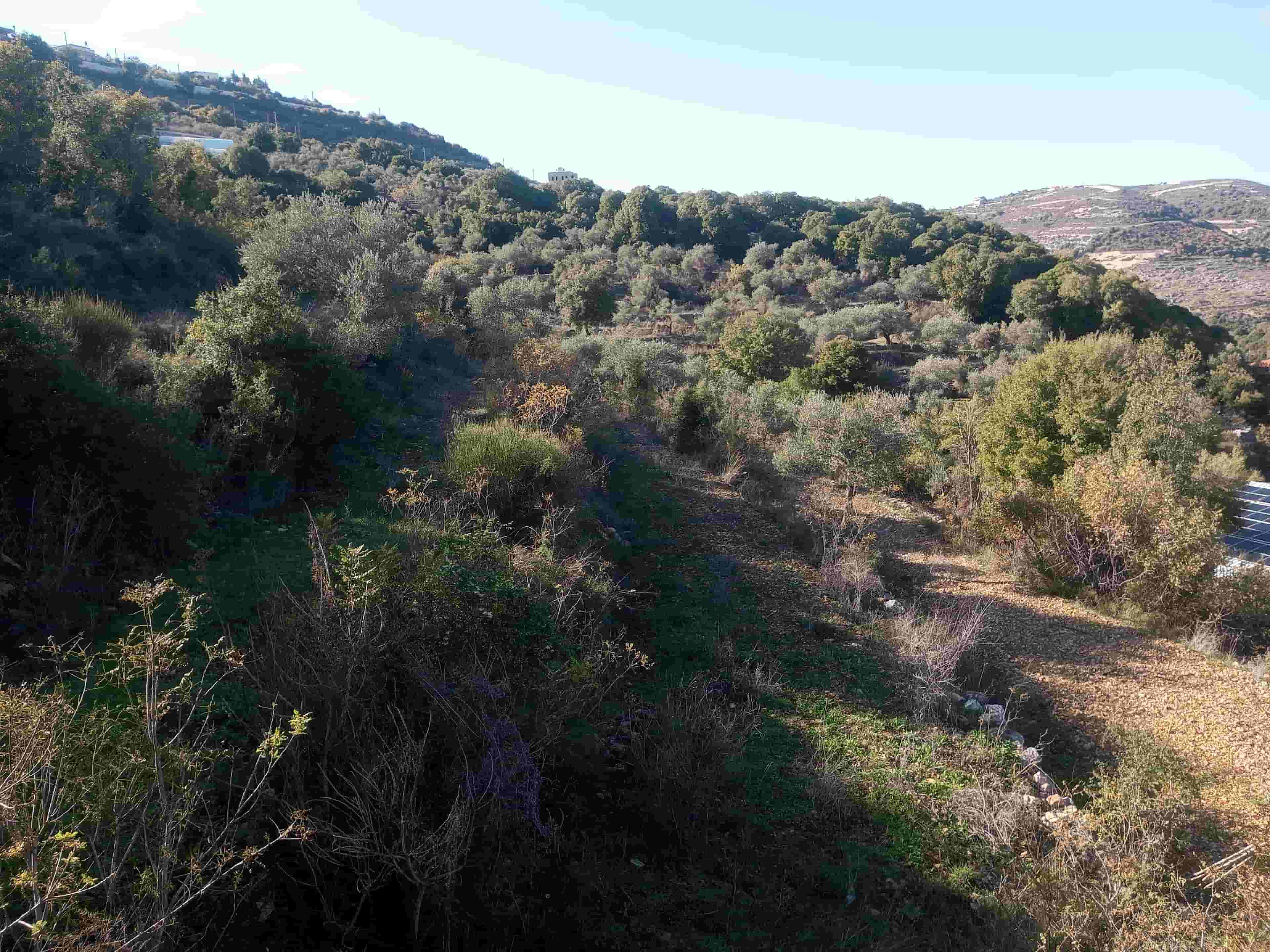 ارض للبيع في قرية كور مساحة 2700متر ارض للبيع في قرية كور مساحة 2700متر