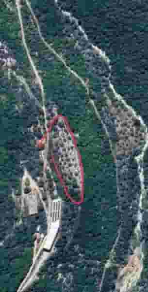 ارض مشجرة زيتون للبيع في مخمرش مساحة 3600متر ارض مشجرة زيتون للبيع في مخمرش مساحة 3600متر