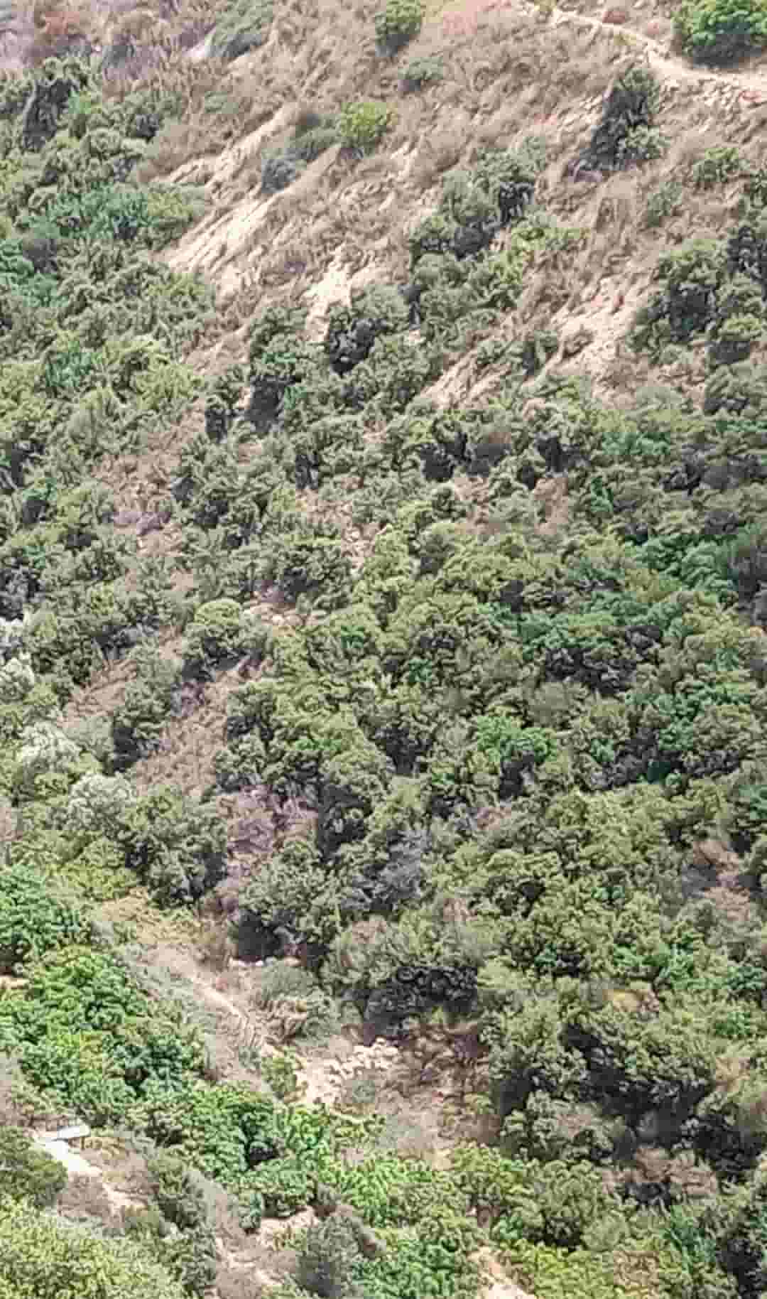 ارض للبيع في اده البترون مساحة ٢٠٠٠متر ارض للبيع في اده البترون مساحة ٢٠٠٠متر