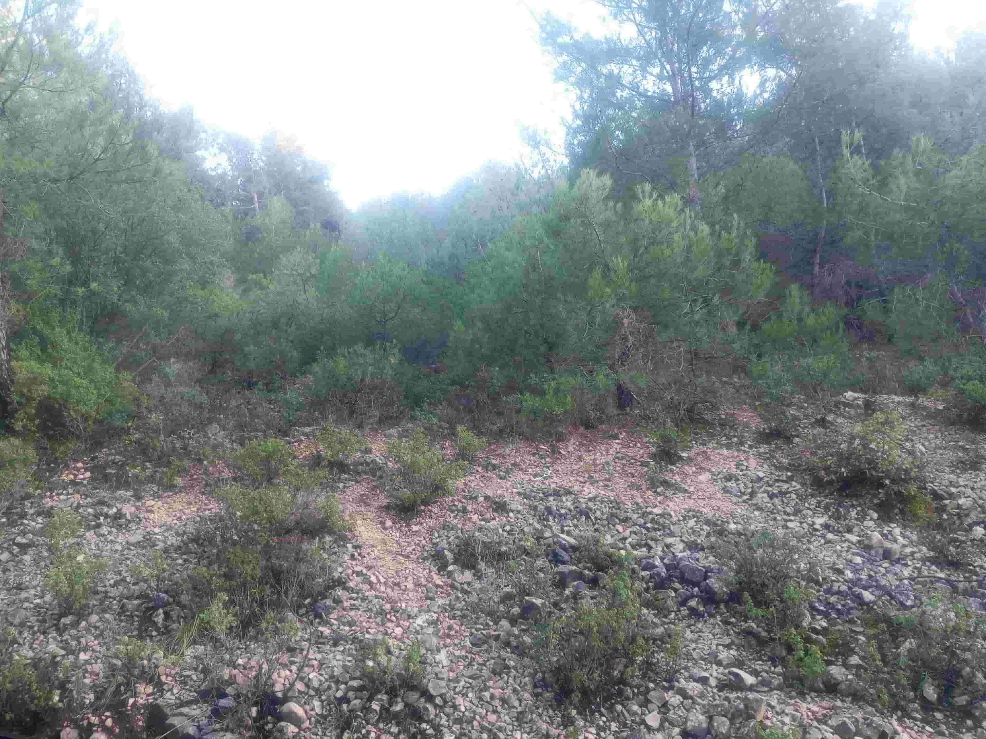 Land for sale in Assaf village with an area of 4300 square meters and an attractive price of $85,000 Land for sale in Assaf village with an area of 4300 square meters and an attractive price of $85,000