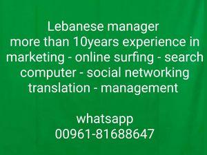 Lebanese manager seeking job