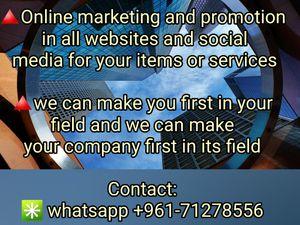 Online Business promoter seeking job